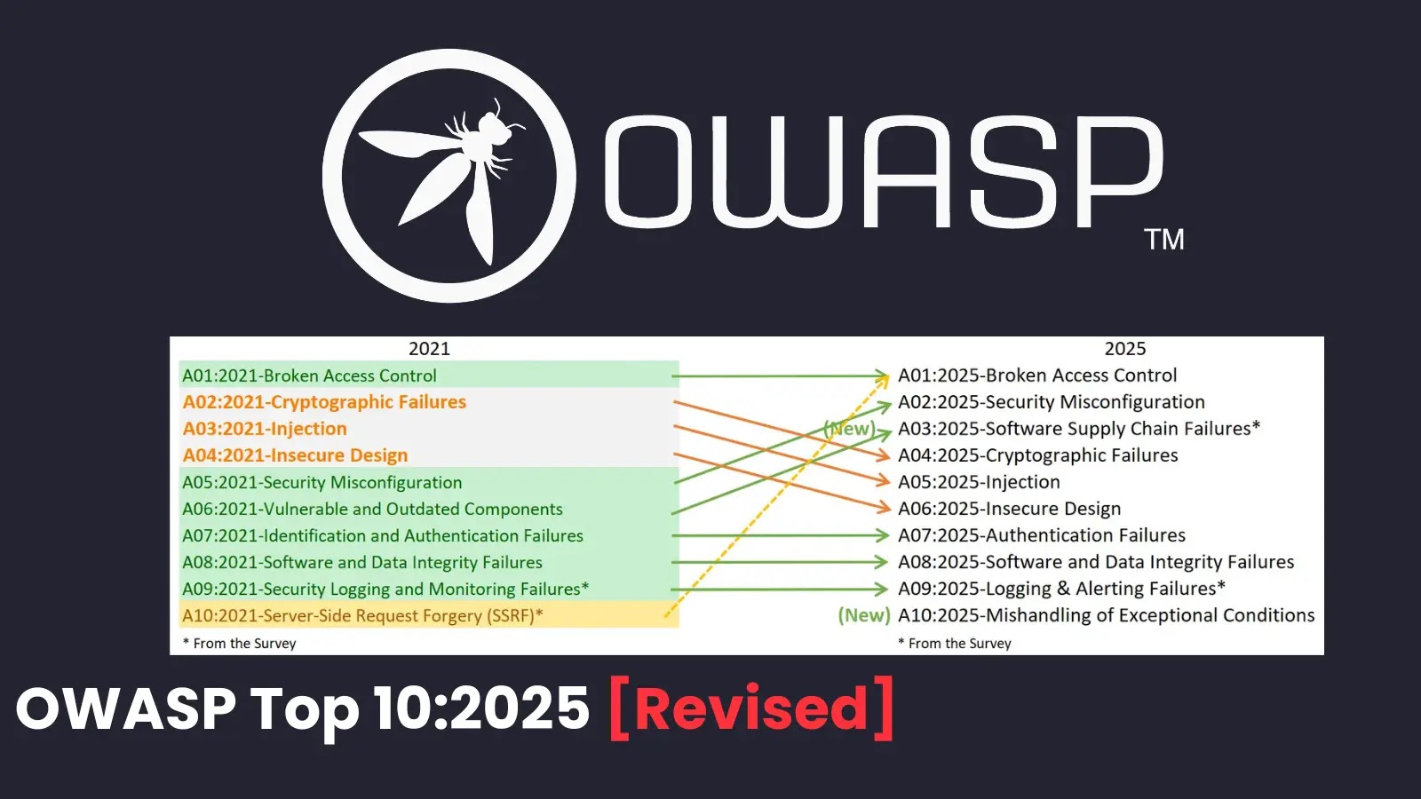 OWASP Top 10 2025 - Revised Version Released With Two New Categories