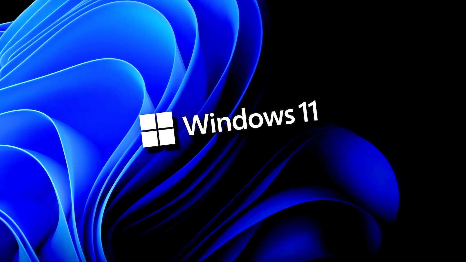 Windows 11